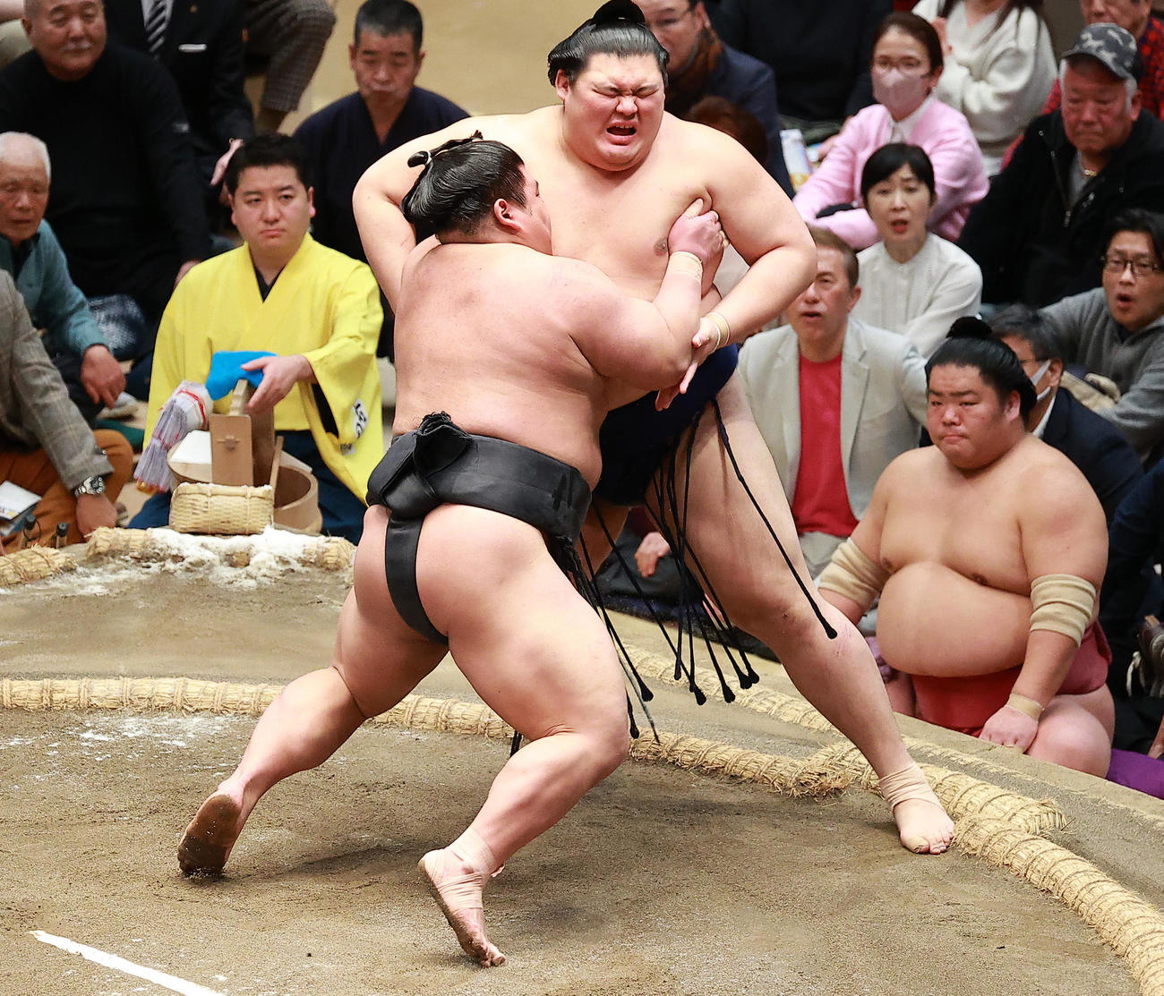伯乃富士（左）の寄りに苦しそうな表情を見せる大の里（撮影・中島郁夫）