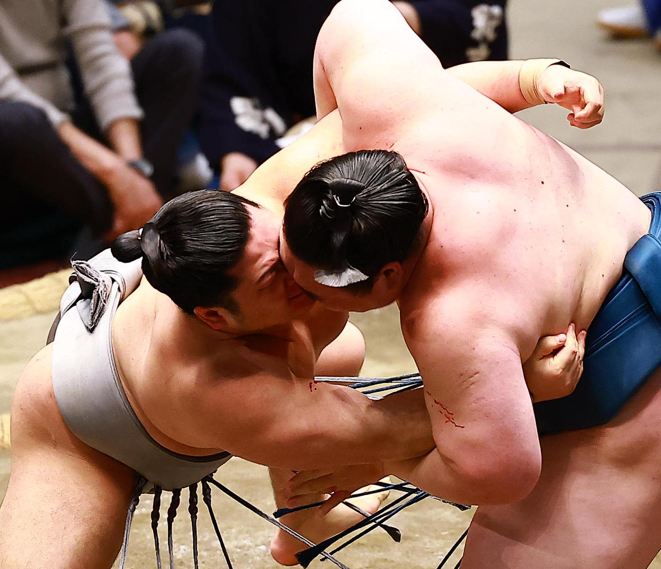 白熊（右）とぶつかり合う朝翠龍（撮影・野上伸悟）