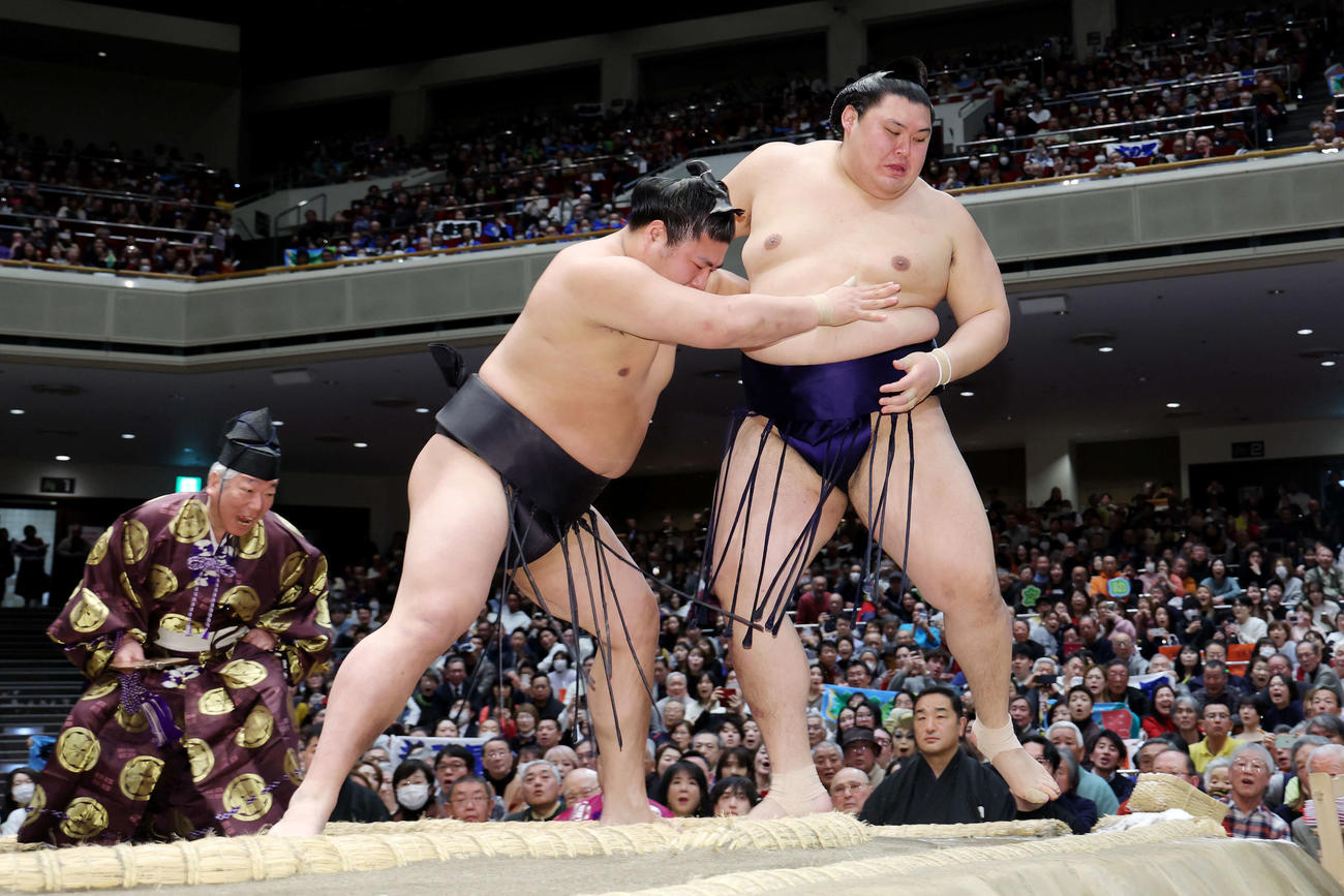 若元春（左）は大の里を寄り切りで下す（撮影・河田真司）