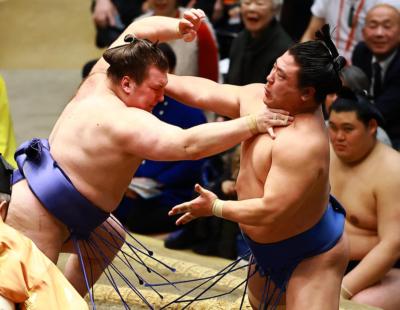 若隆景（右）を攻める安青錦（撮影・野上伸悟）