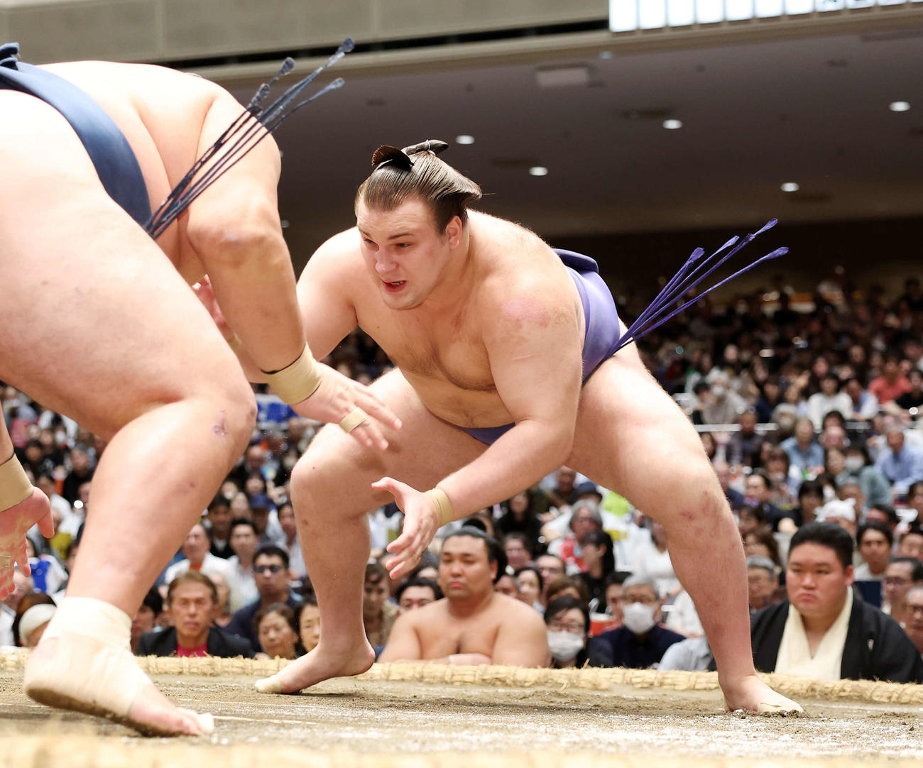 大相撲秋場所8日目　玉鷲（左）を鋭い立ち合いで攻める安青錦（撮影・鈴木正人）