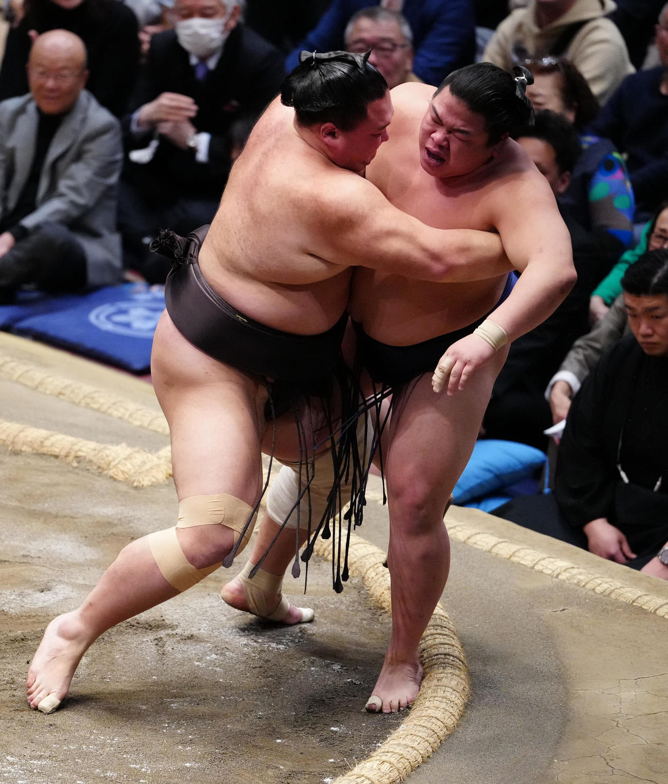 平戸海（右）を寄り切りで破る朝乃山（撮影・鈴木みどり）