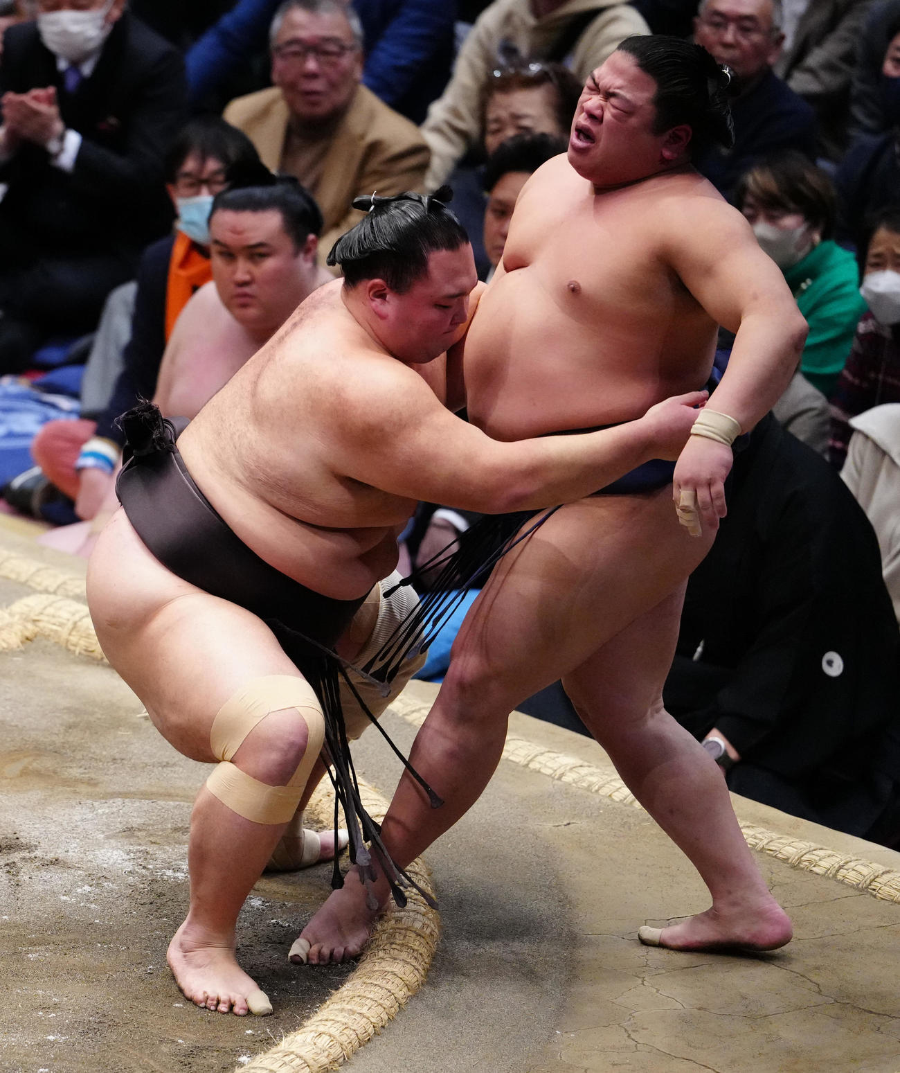 平戸海（右）を寄り切りで破る朝乃山（撮影・鈴木みどり）
