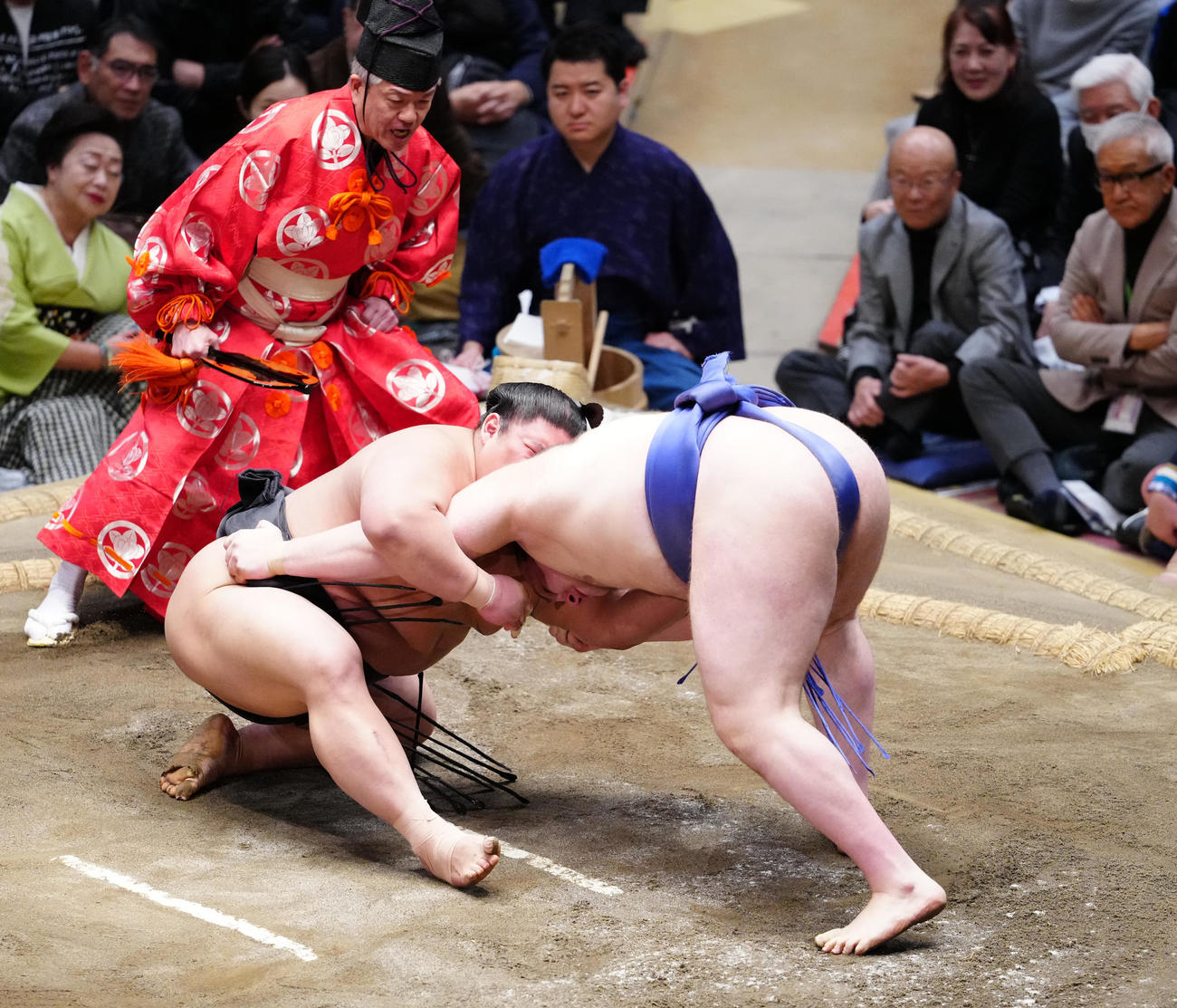 伯乃富士（左）を下手投げで破る安青錦（撮影・鈴木みどり）