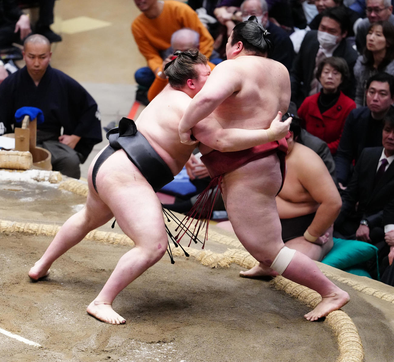 熱海富士（右）を攻める安青錦（撮影・鈴木みどり）