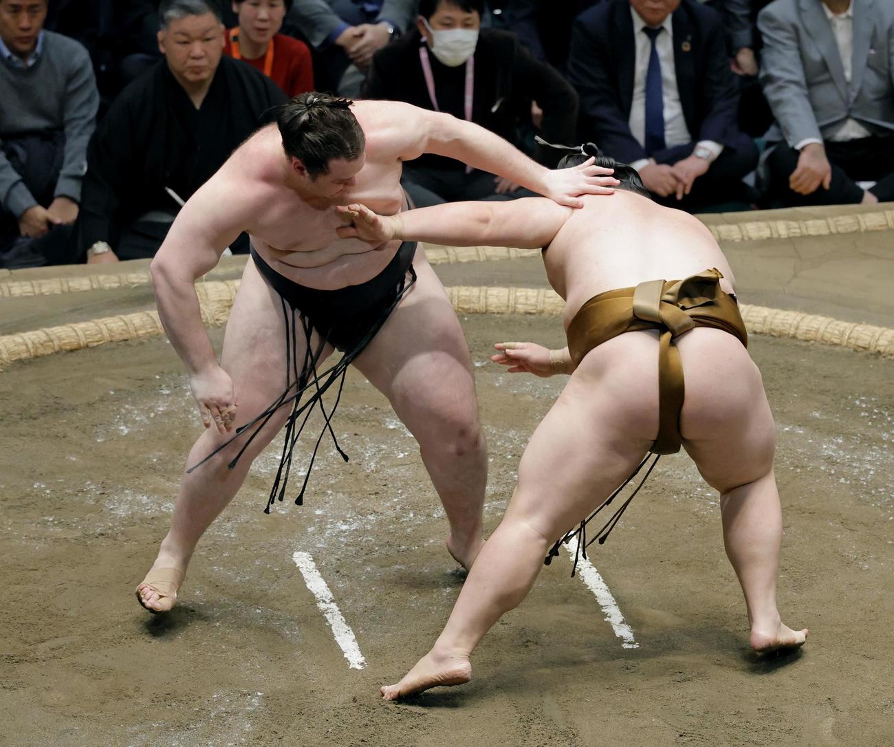 獅司（左）がはたき込みで王鵬を破る（共同）