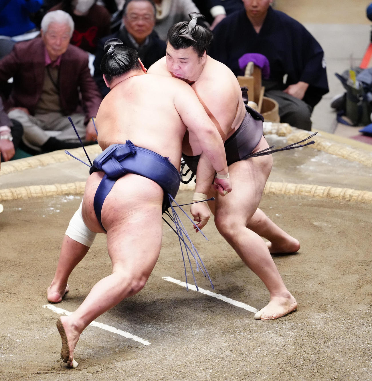 豊昇龍（左）を攻める霧島（撮影・鈴木みどり）