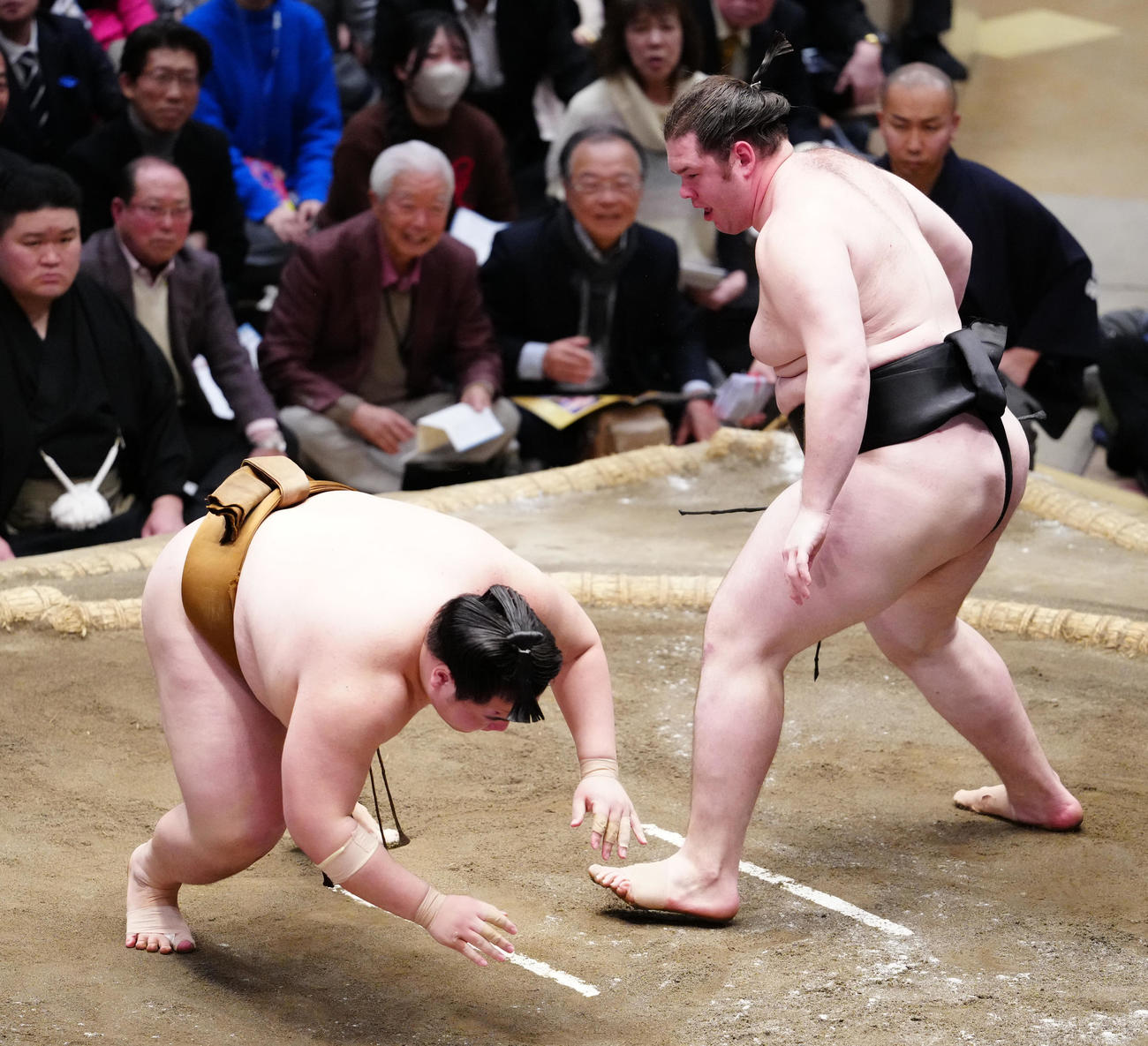 王鵬（左）をはたき込みで破る獅司（撮影・鈴木みどり）