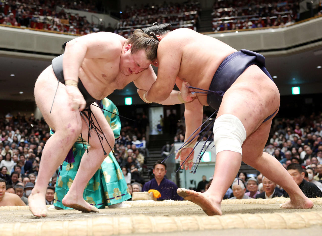 豊昇龍（右）を攻める安青錦（撮影・鈴木正人）　