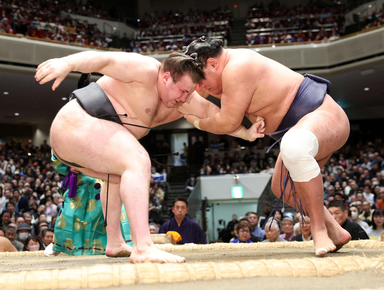 豊昇龍（右）を攻める安青錦（撮影・鈴木正人）　