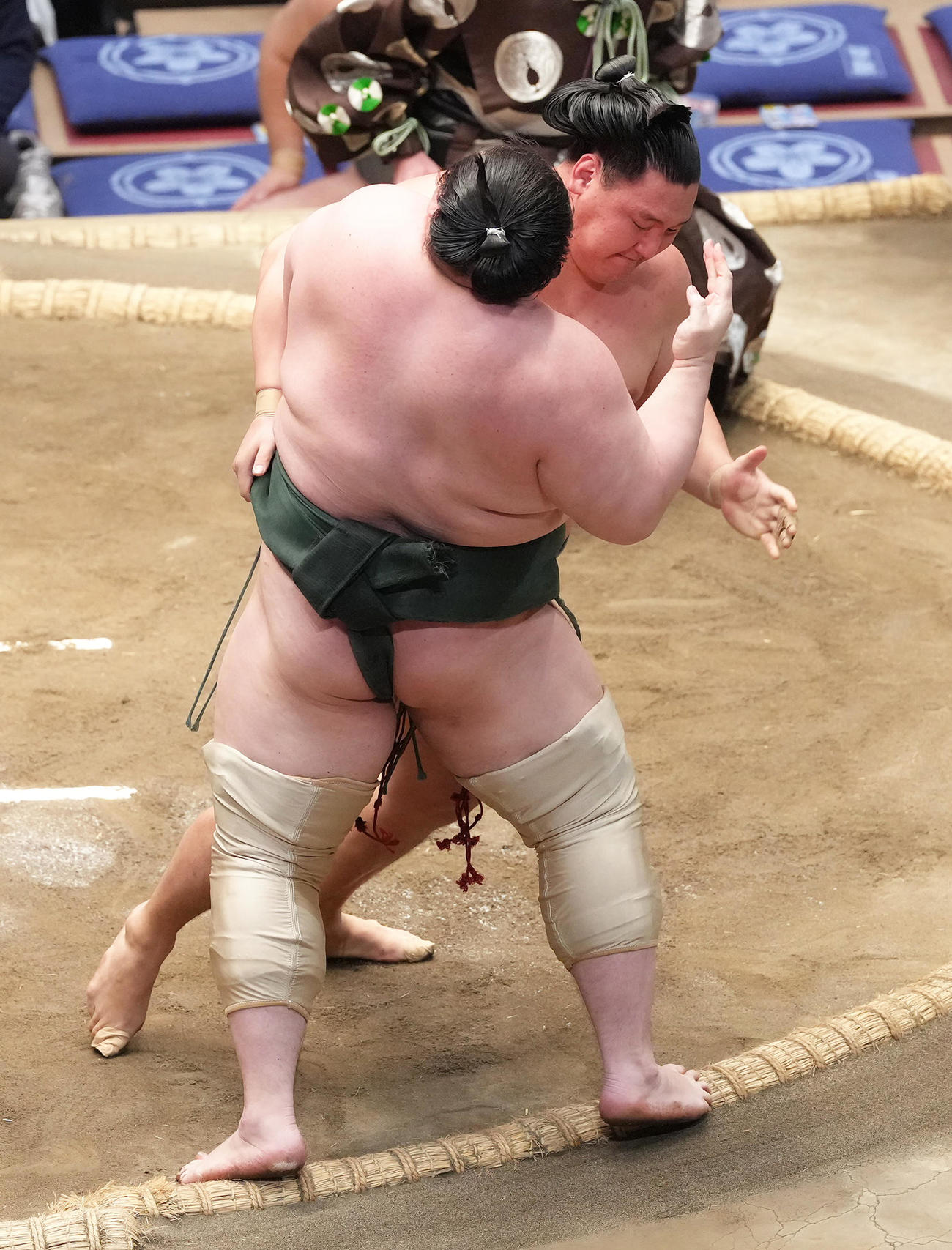 寿之富士（後方）は白鷹山を寄り切りで破る（撮影・足立雅史）