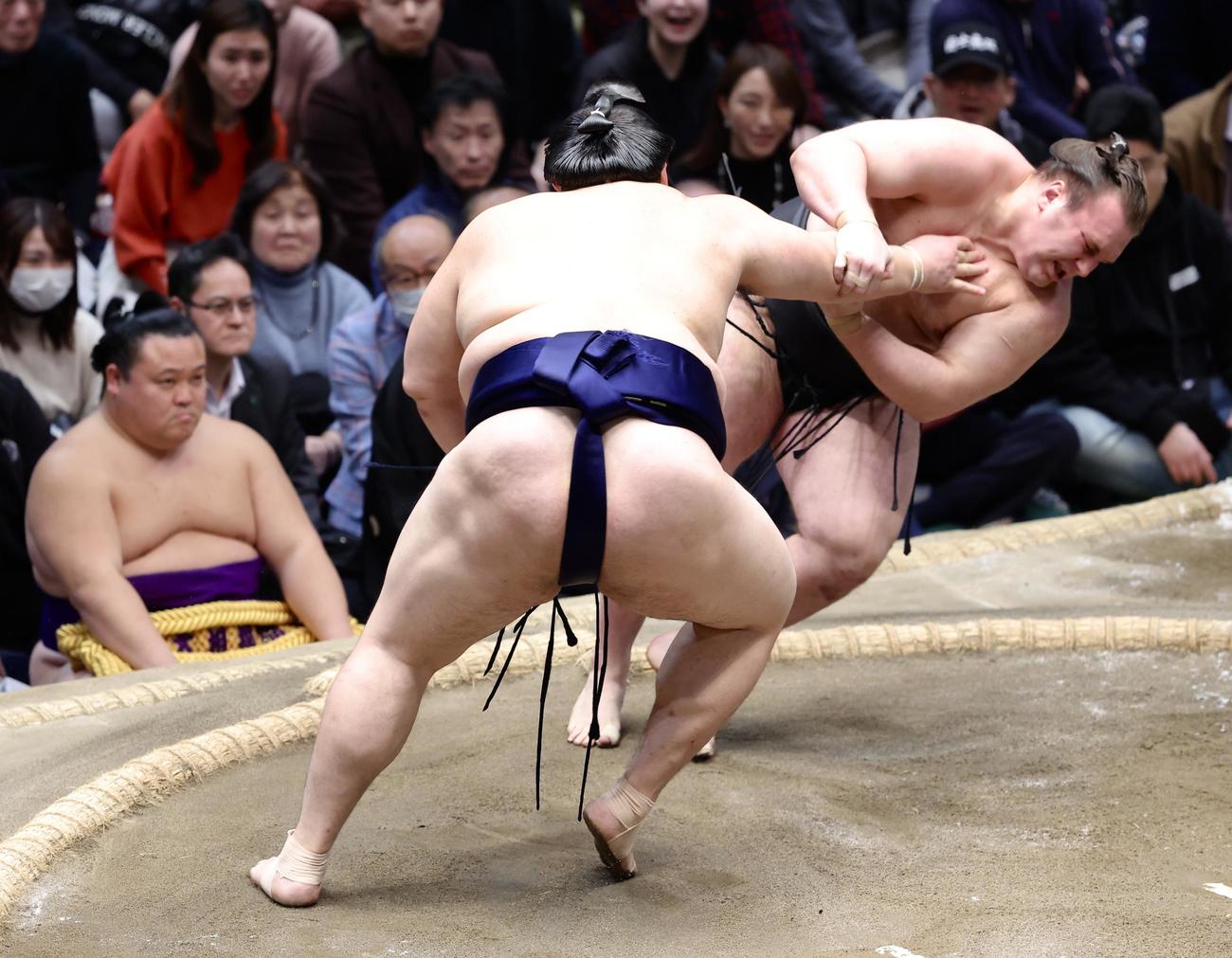 大の里（手前）は安青錦を押し倒しで破る（撮影・河田真司）