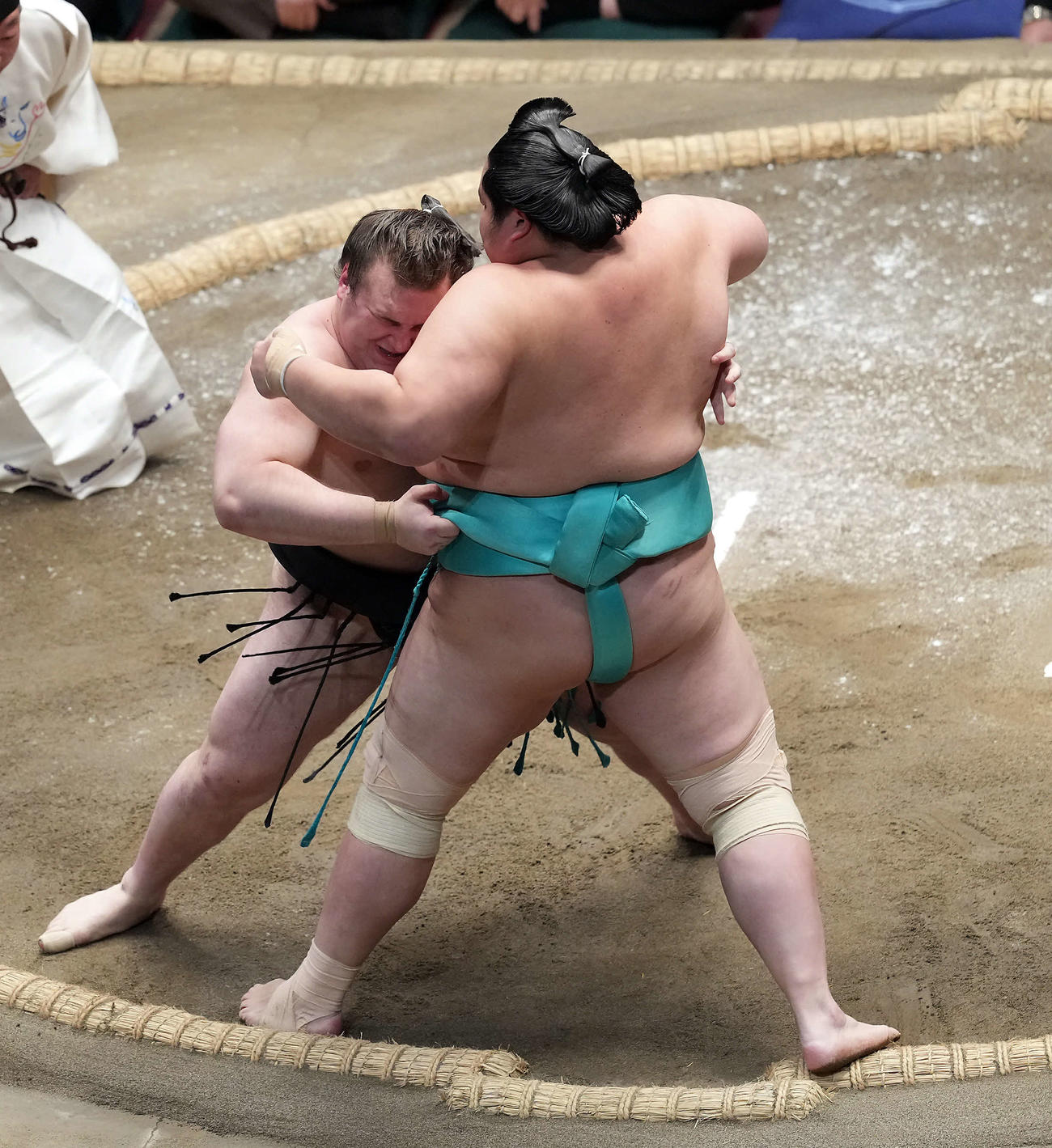 琴桜を寄り切る安青錦（撮影・たえ見朱実）