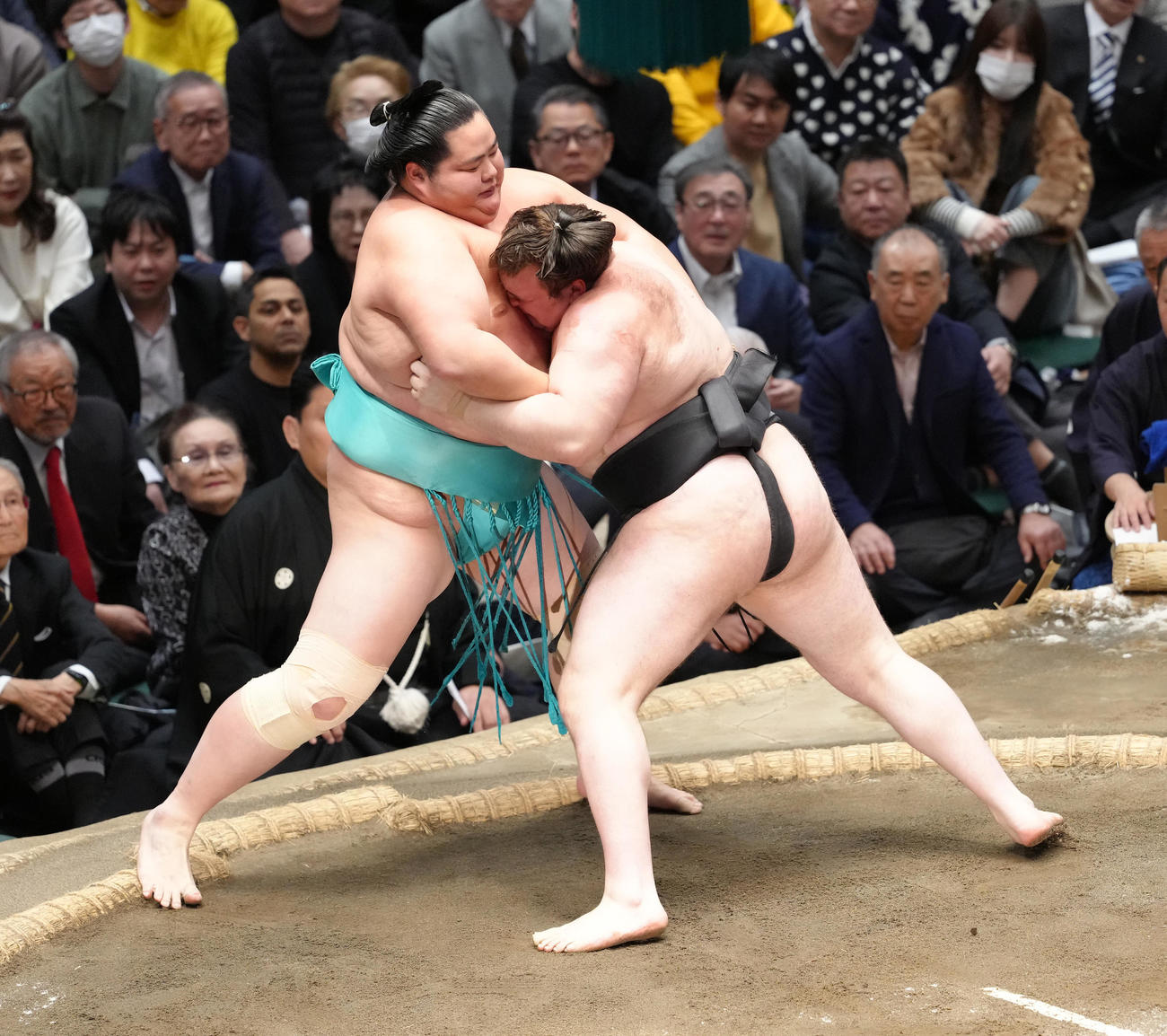琴桜（左）を寄り切りで破る安青錦（撮影・足立雅史）