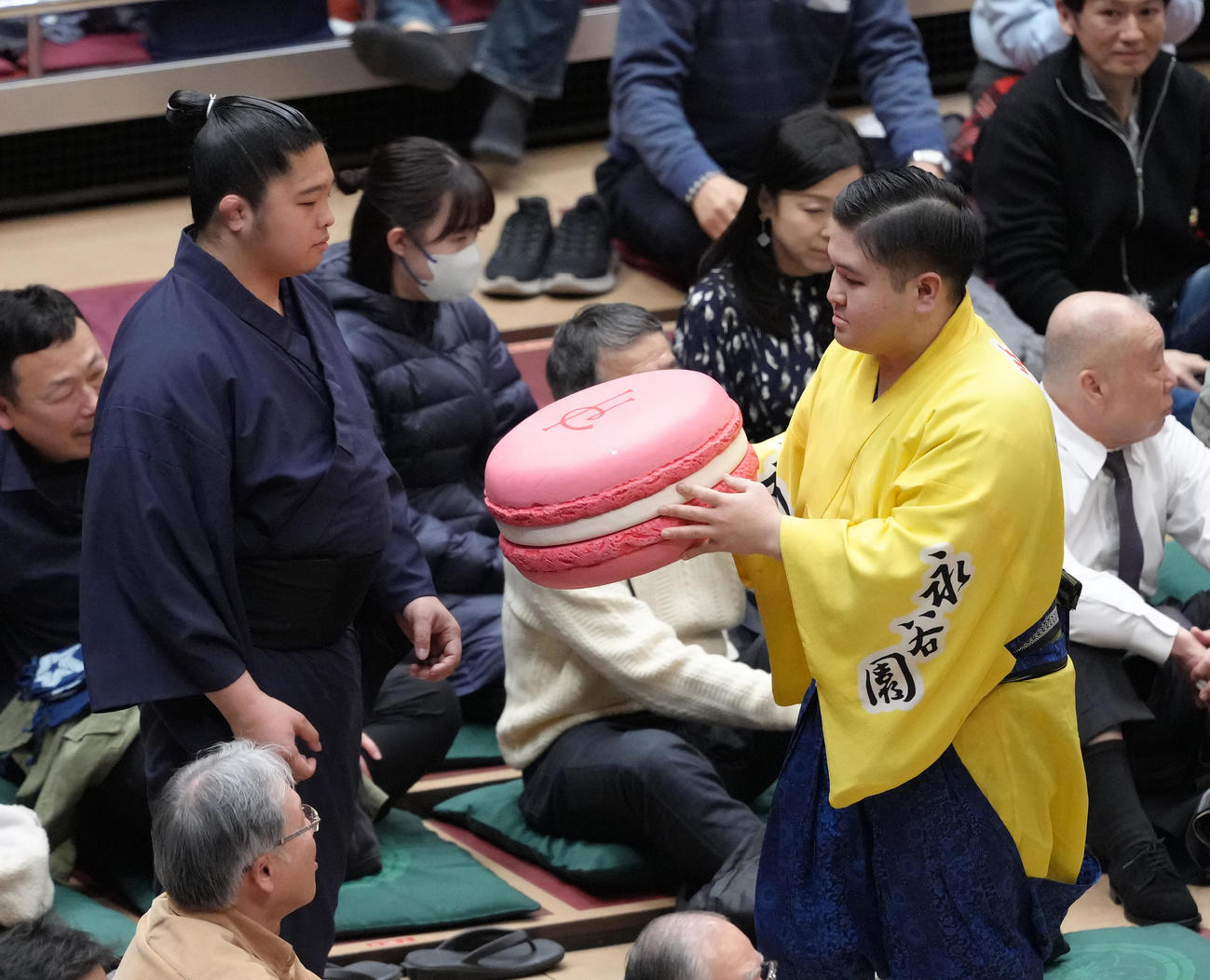優勝した安青錦に贈られた日仏友好杯の副賞のマカロンの置物（撮影・足立雅史）