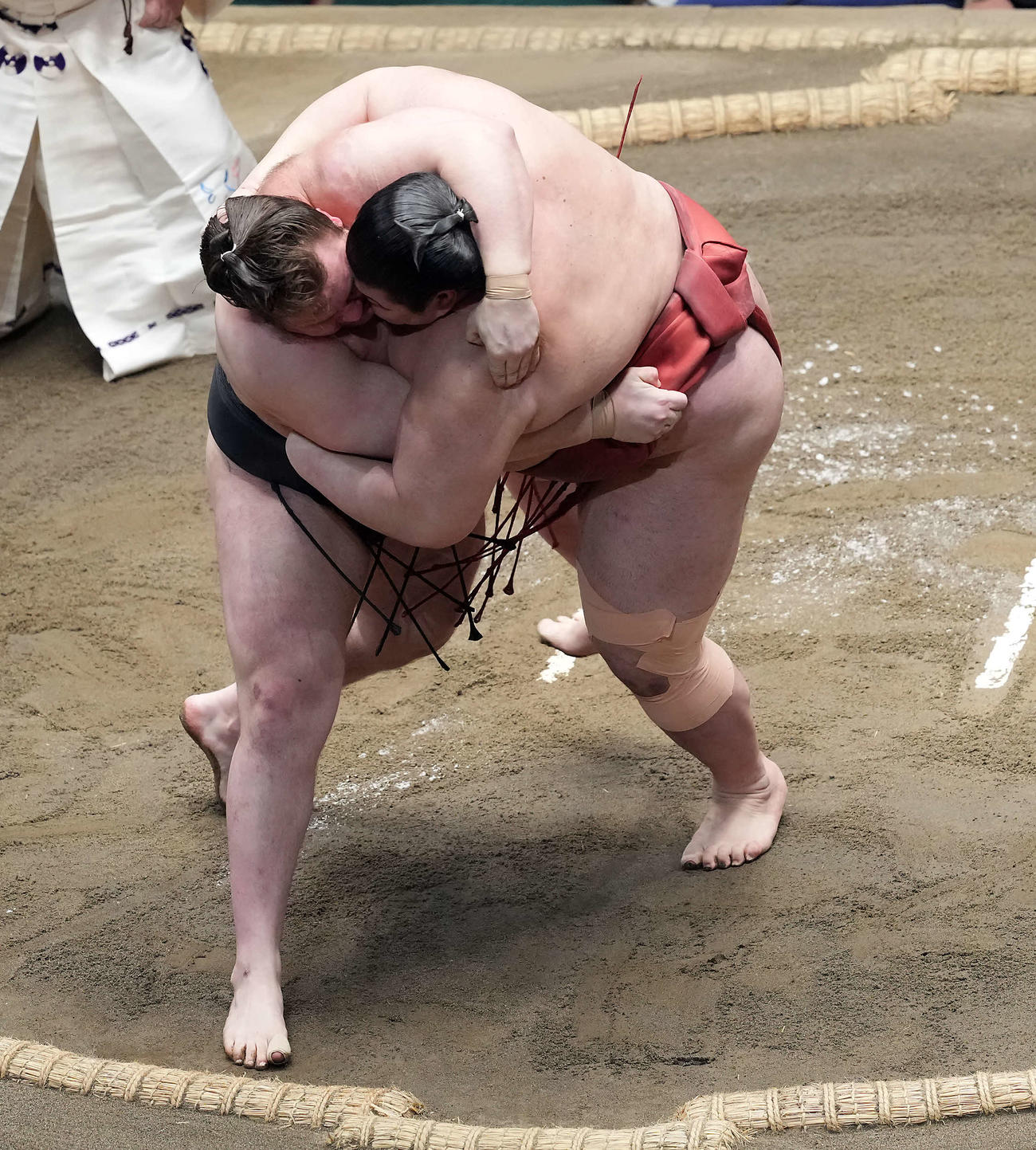 優勝決定戦で熱海富士に勝った安青錦（撮影・たえ見朱実）