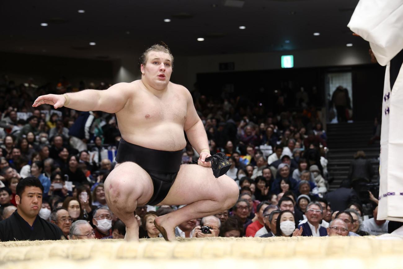 優勝決定戦で、熱海富士を首投げで破り勝ち名乗りを受ける安青錦（撮影・河田真司）