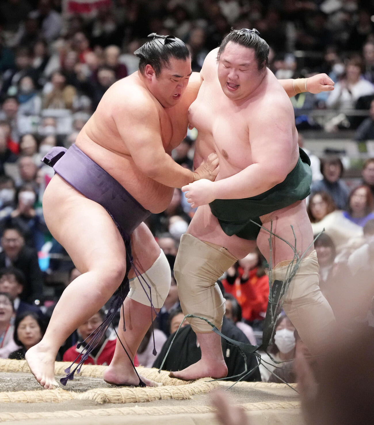 十両優勝決定巴戦で白鷹山（右）を寄り切りで破る湘南乃海（撮影・小沢裕）