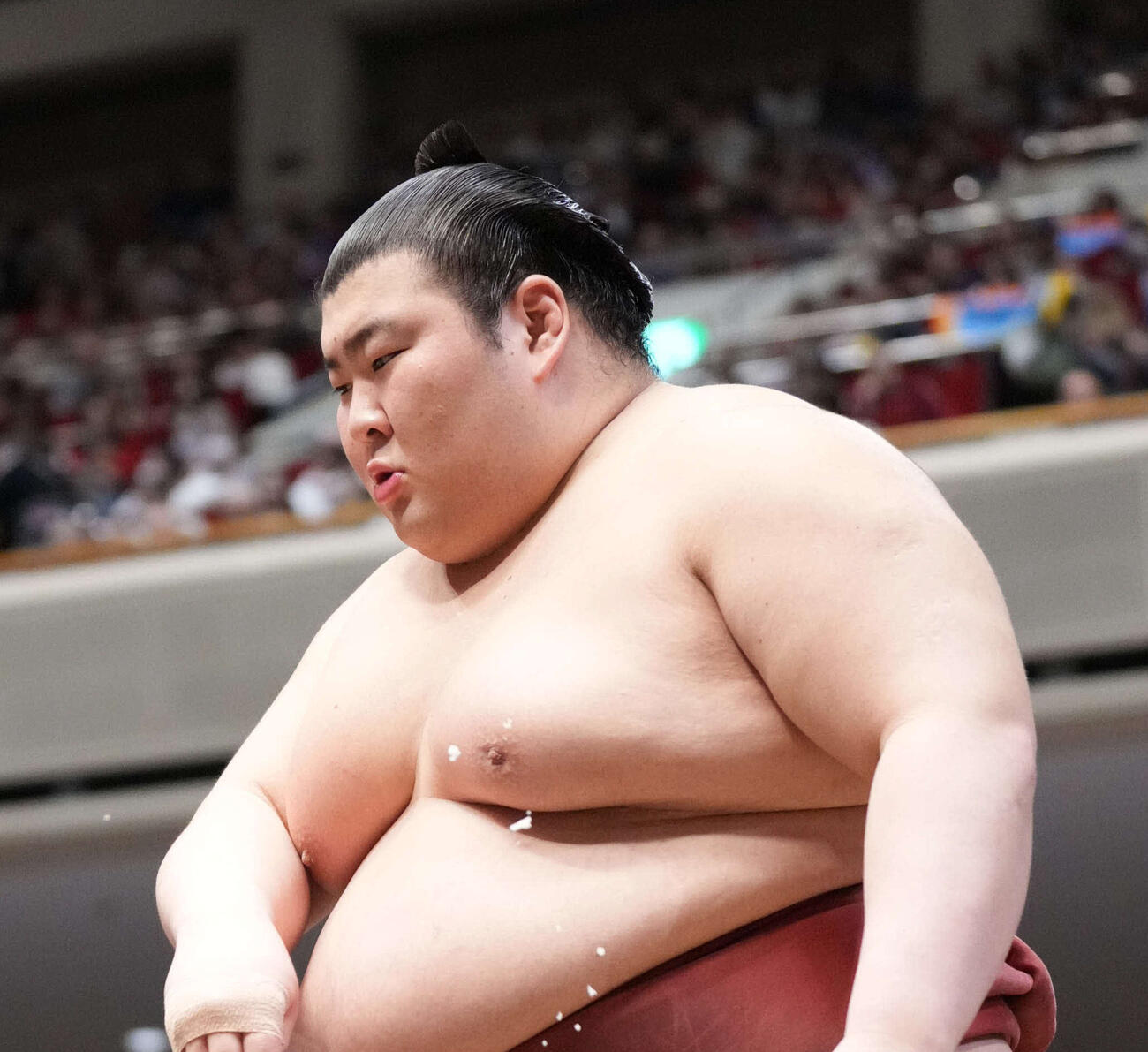 熱海富士（2026年撮影）