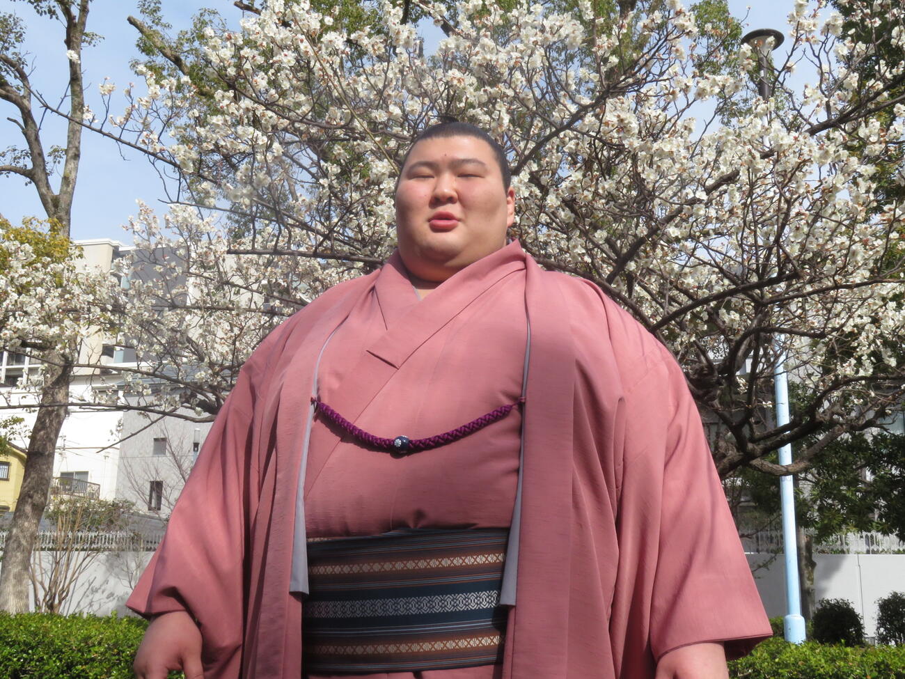 新三役会見後、花を背に記念撮影に納まった熱海富士
