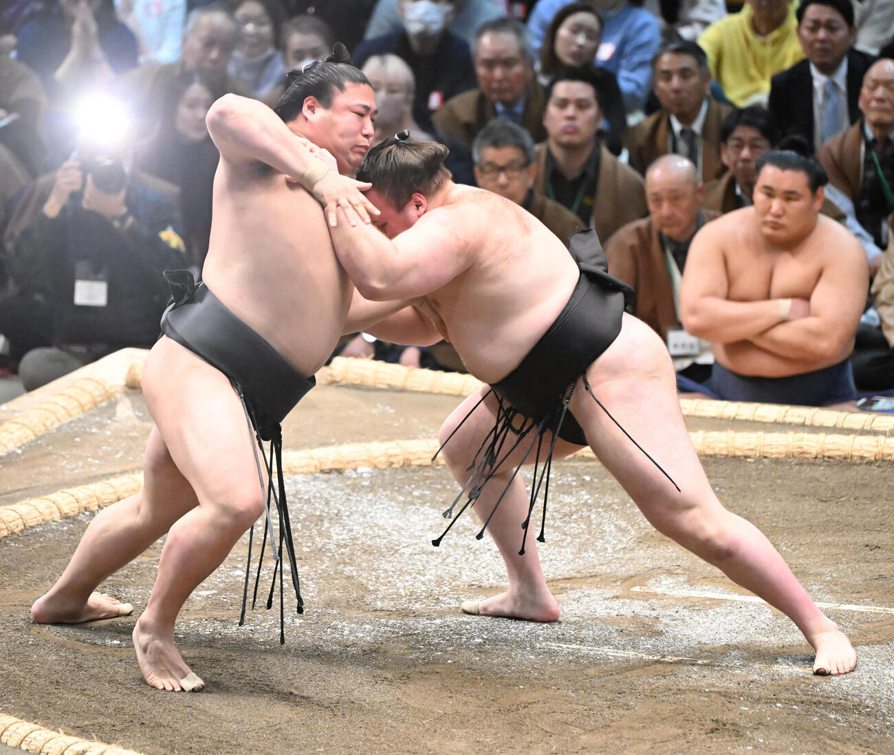 安青錦（右）は寄り切りで若元春を破る（撮影・和賀正仁）