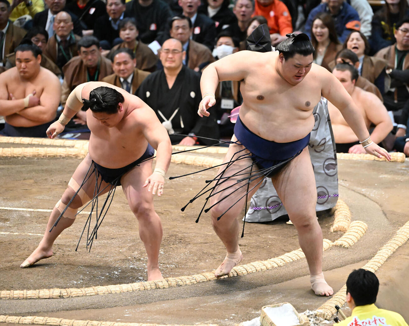 若隆景（左）は押し出しで大の里を破る（撮影・和賀正仁）