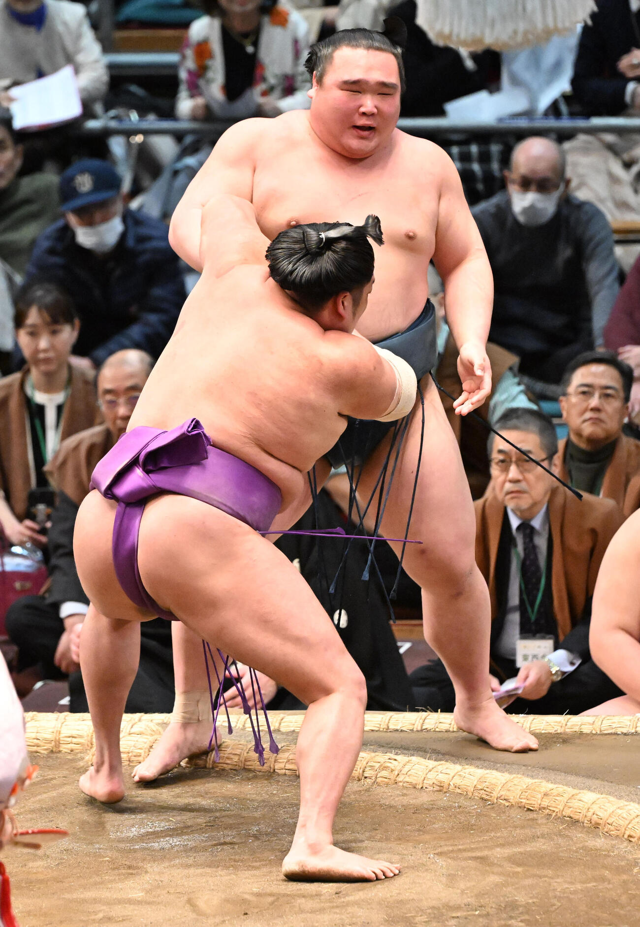 白熊（奥）を寄り切りで破る尊富士（撮影・和賀正仁）
