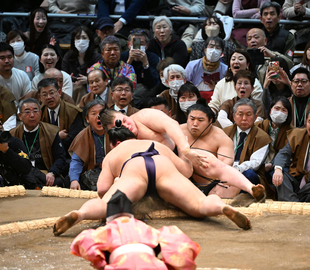 安青錦（奥）は寄り倒しで義ノ富士に敗れる（撮影・和賀正仁）