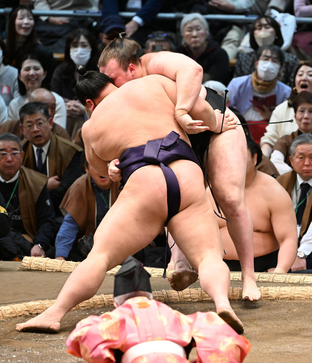 安青錦（奥）は寄り倒しで義ノ富士に敗れる（撮影・和賀正仁）