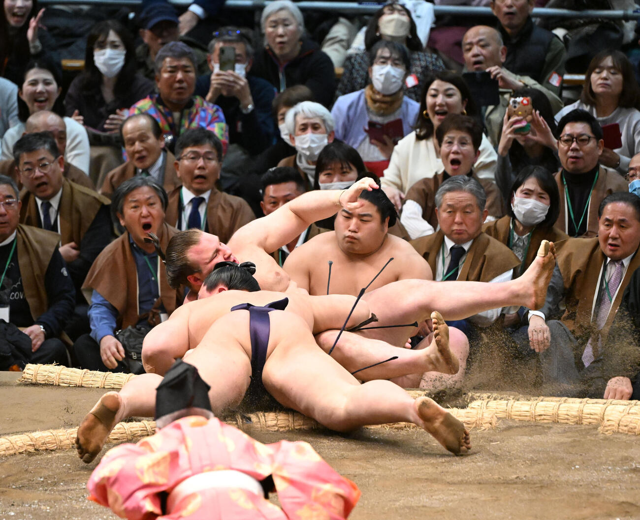 安青錦（奥）は寄り倒しで義ノ富士に敗れる（撮影・和賀正仁）