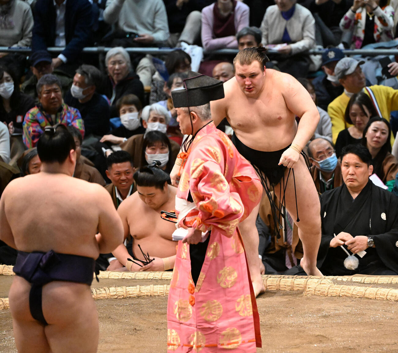 安青錦（奥）は寄り倒しで義ノ富士に敗れる（撮影・和賀正仁）