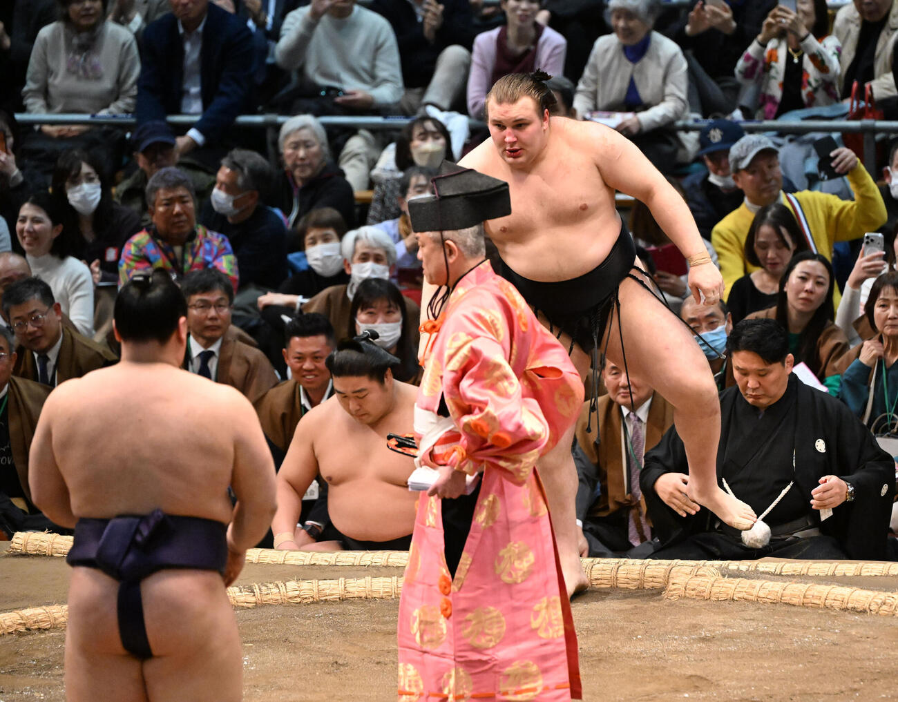安青錦（奥）は寄り倒しで義ノ富士に敗れる（撮影・和賀正仁）