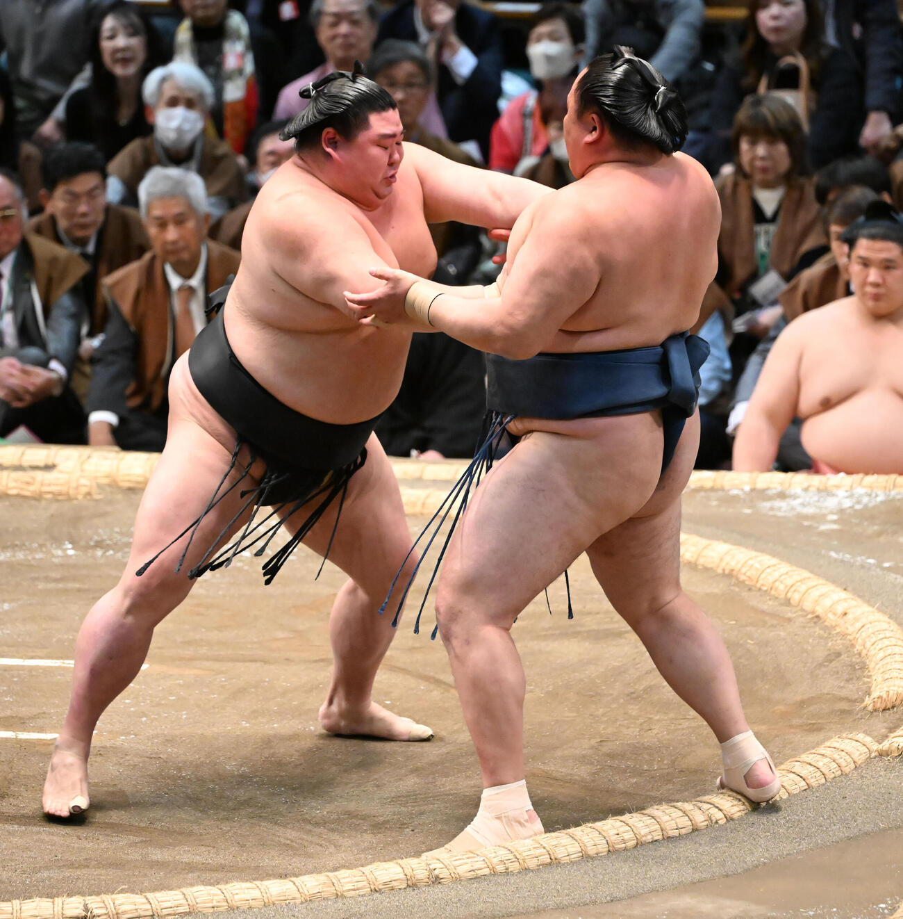 玉鷲（右）を押し出しで破る正代（撮影・和賀正仁）