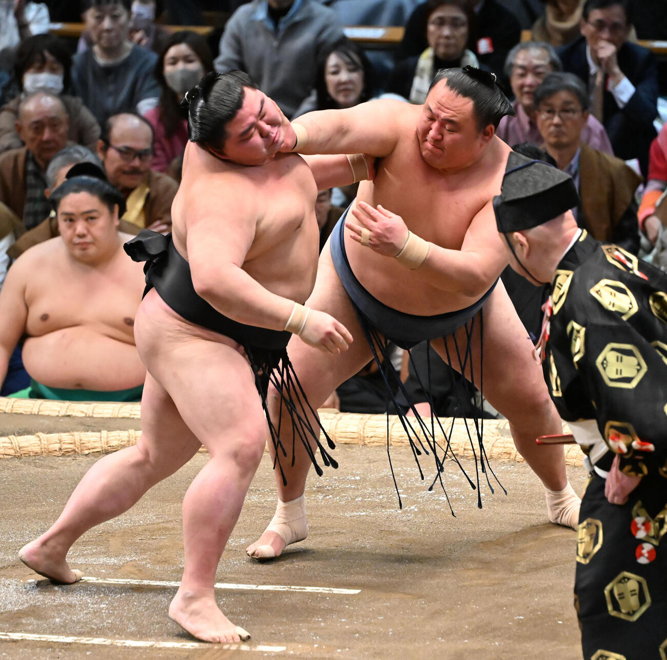 玉鷲（右）は正代を突っ張る（撮影・和賀正仁）