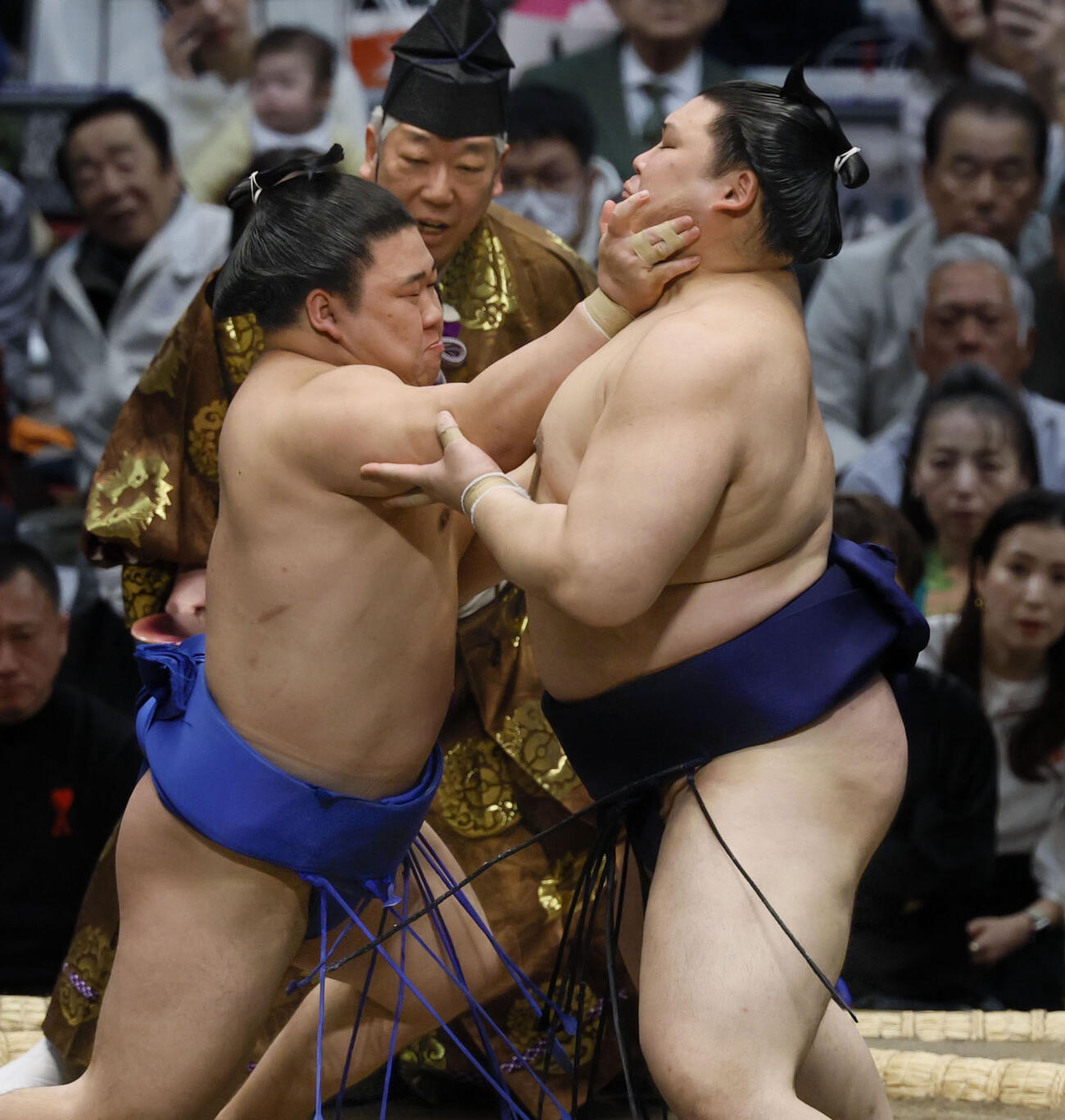 大の里（右）を攻める藤ノ川（共同）