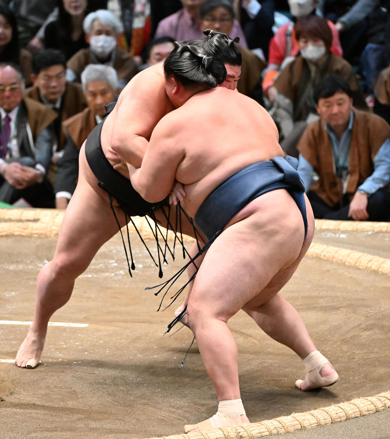 玉鷲（右）を押し出しで破る正代（撮影・和賀正仁）