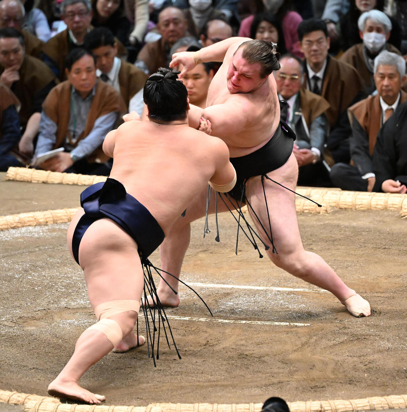 安青錦（右）は押し出しで若隆景を破る（撮影・和賀正仁）