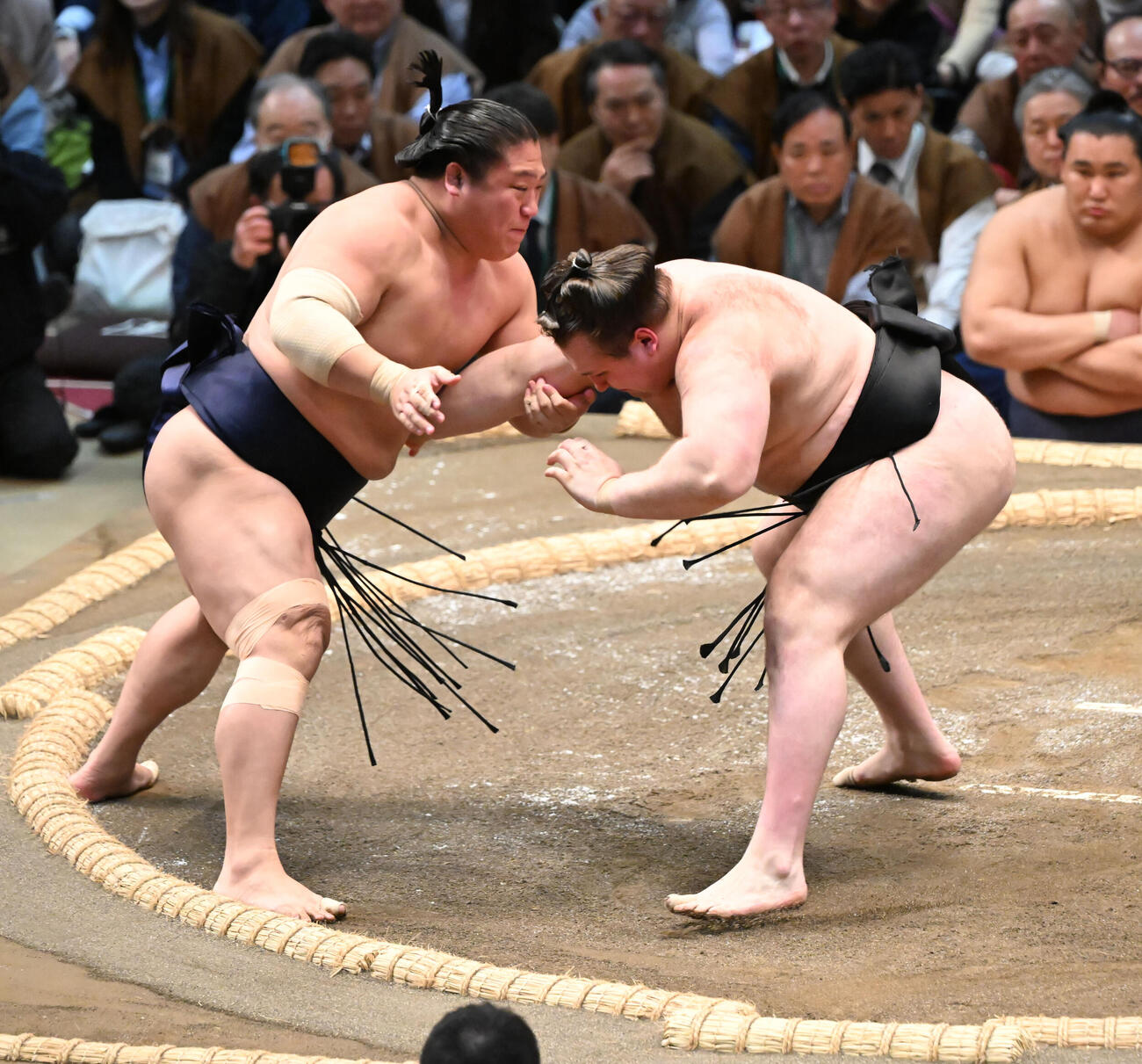 安青錦（右）は押し出しで若隆景を破る（撮影・和賀正仁）