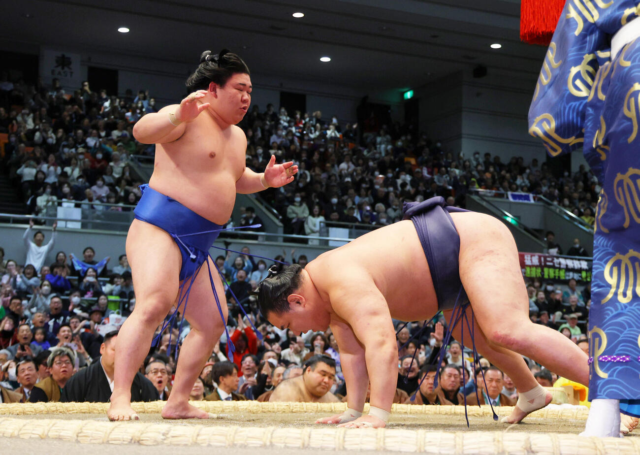 藤ノ川（左）は豊昇龍をはたき込みで破る（撮影・上山淳一）