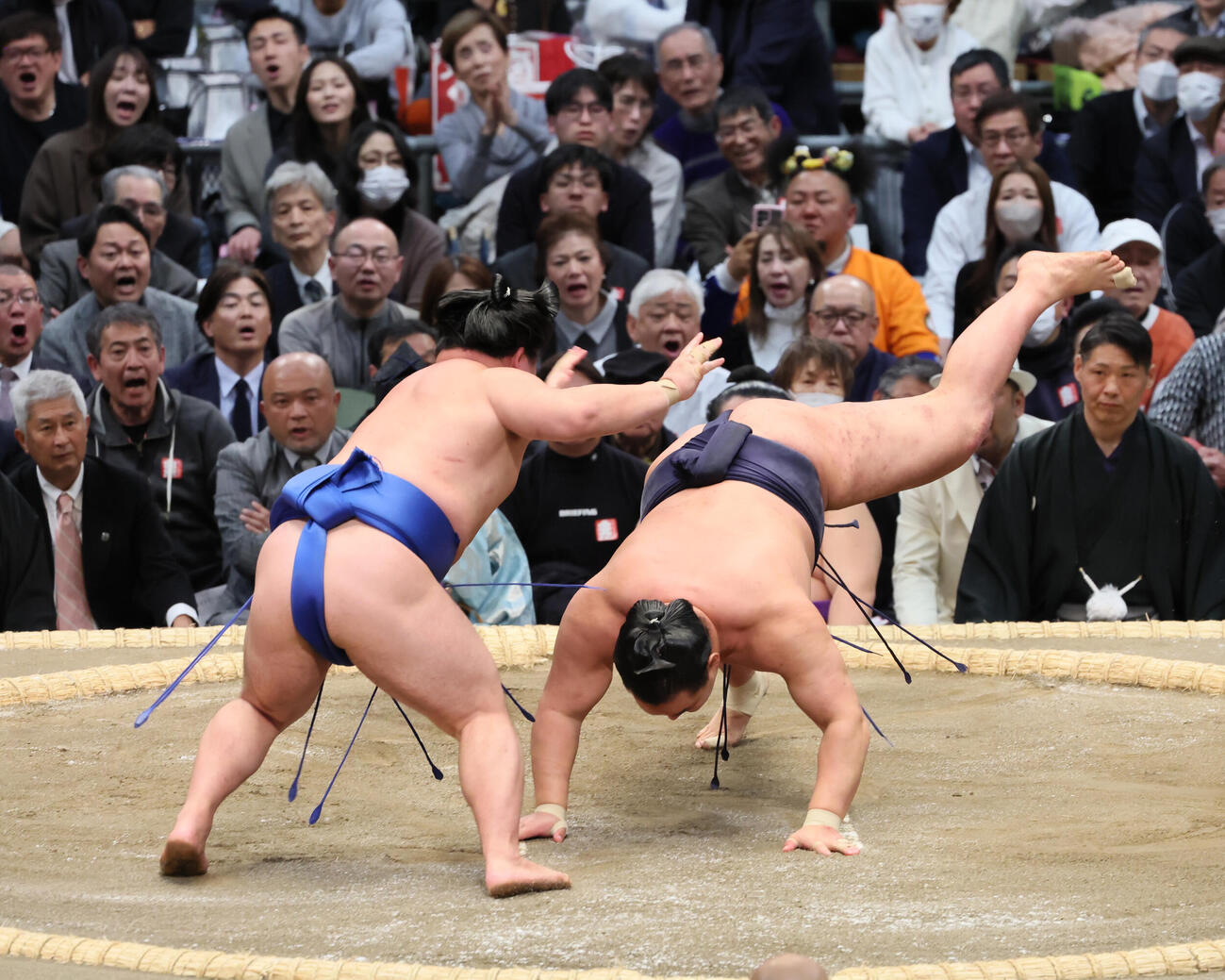 藤ノ川（左）は豊昇龍をはたき込みで破る（朝日新聞）