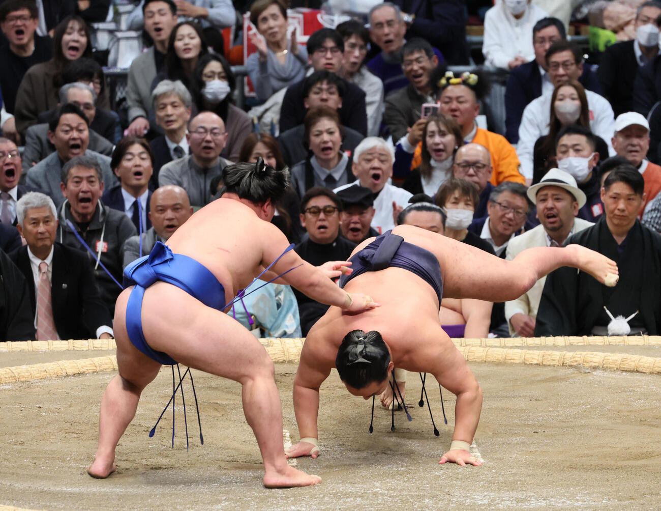 藤ノ川（左）は豊昇龍をはたき込みで破る