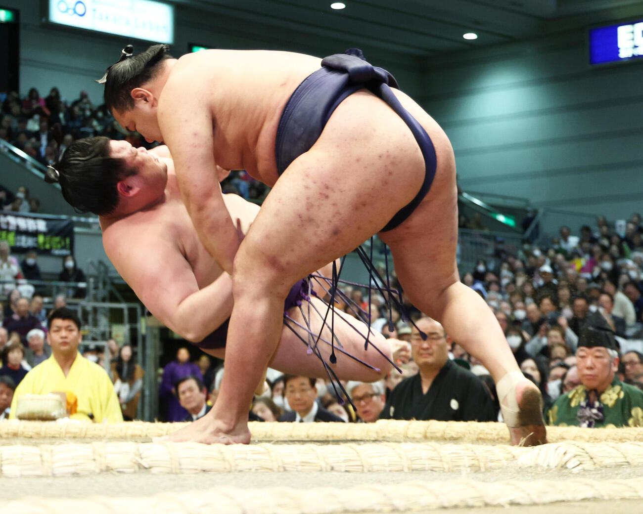 豊昇龍（右）は美ノ海をすくい投げで破る（撮影・上山淳一）