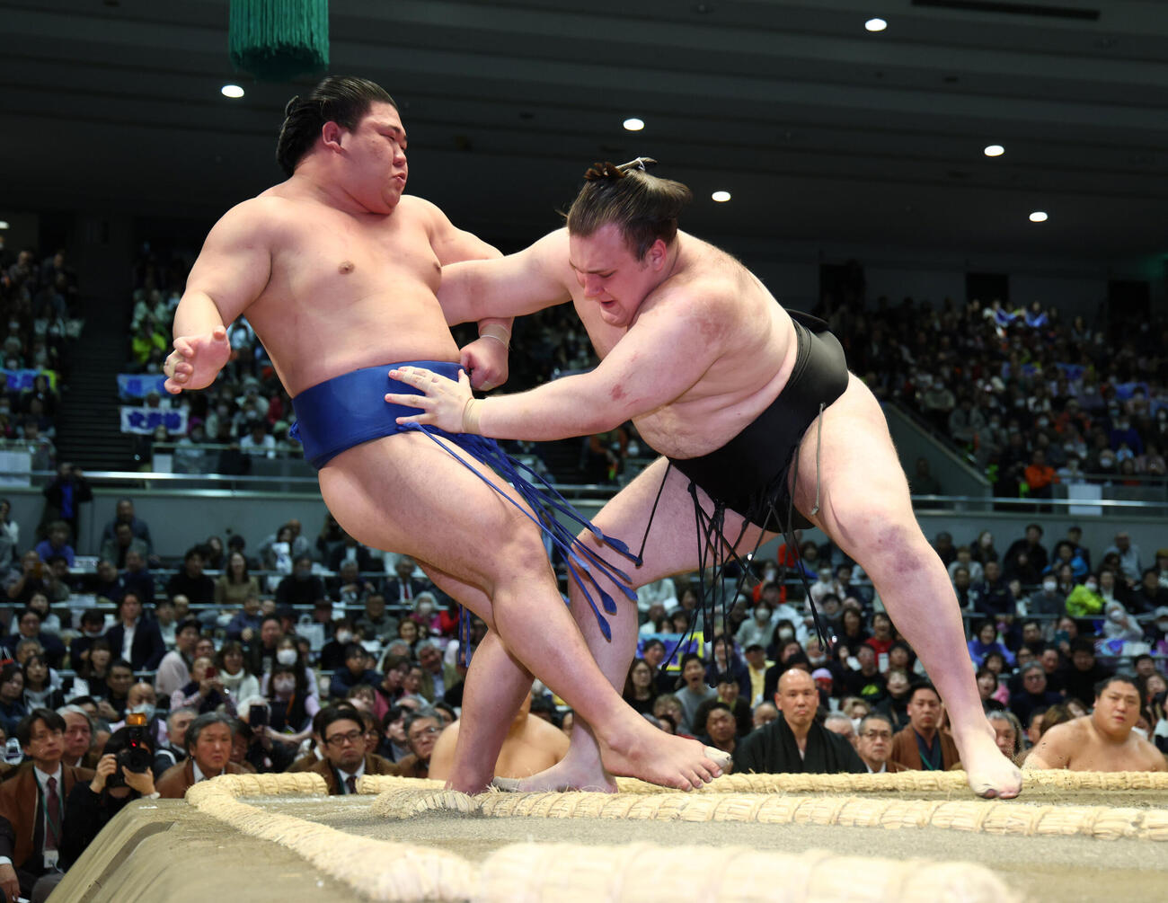 安青錦（右）は藤ノ川を押し出しで破る（撮影・上山淳一）