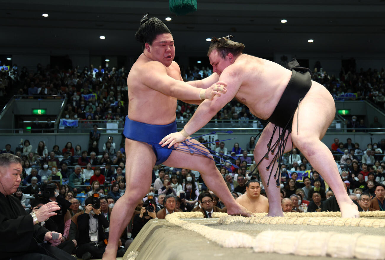 安青錦（右）は藤ノ川を押し出しで破る（撮影・上山淳一）