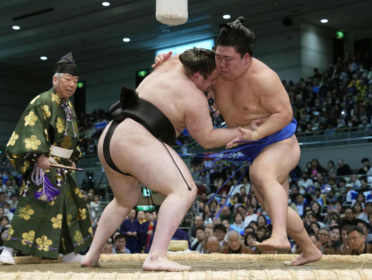 藤ノ川（右）を攻める安青錦。押し出しで下す（共同）