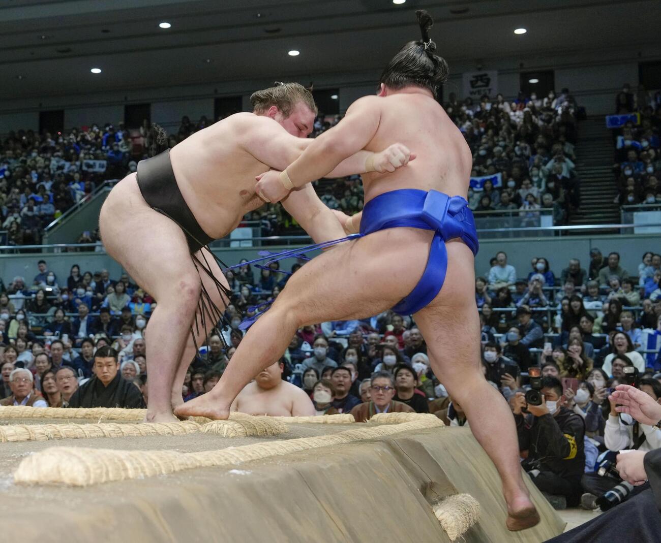 安青錦（左）が押し出しで藤ノ川を下す（共同）