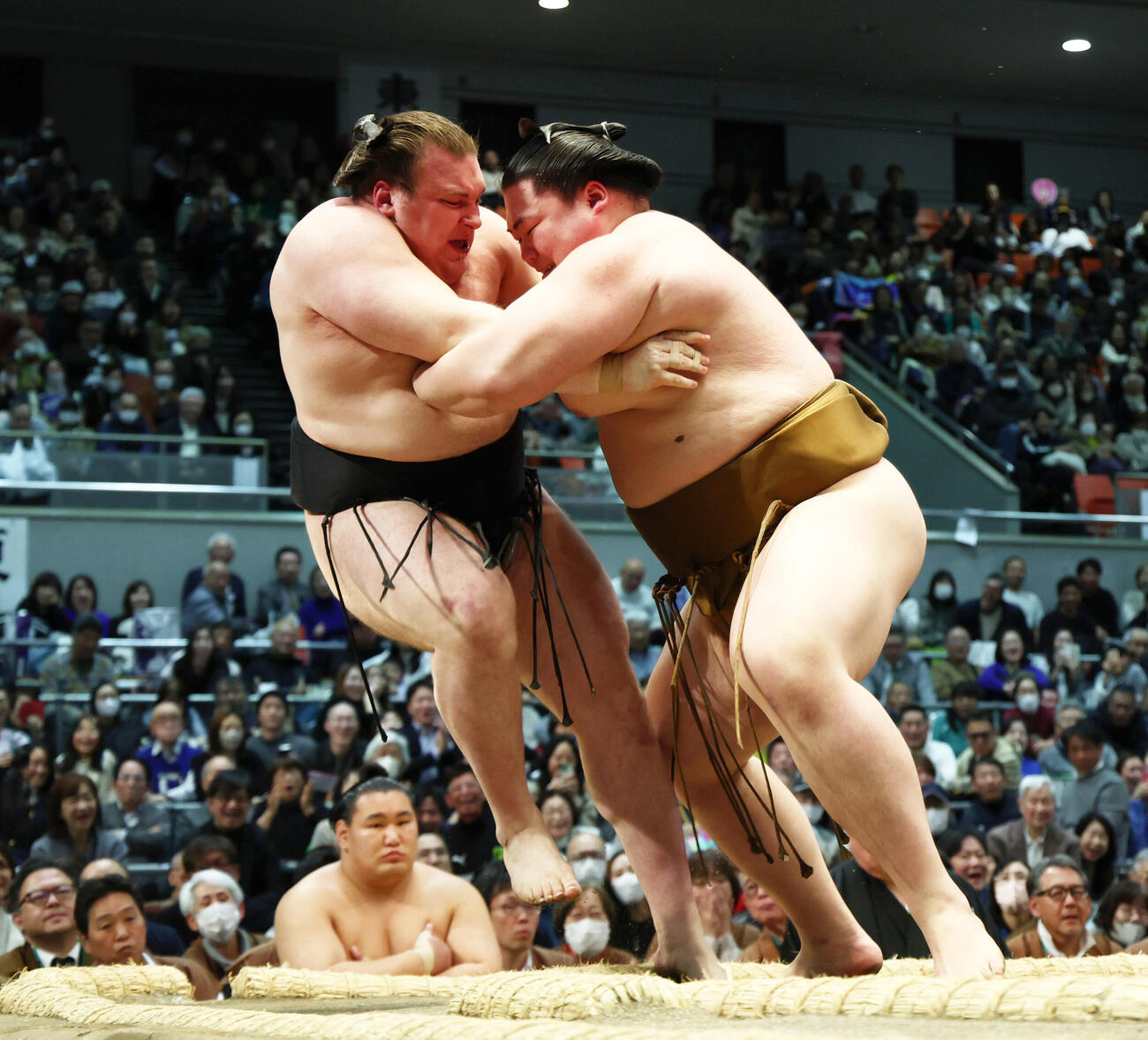 王鵬（右）は安青錦をきめ出しで破る（撮影・上山淳一）