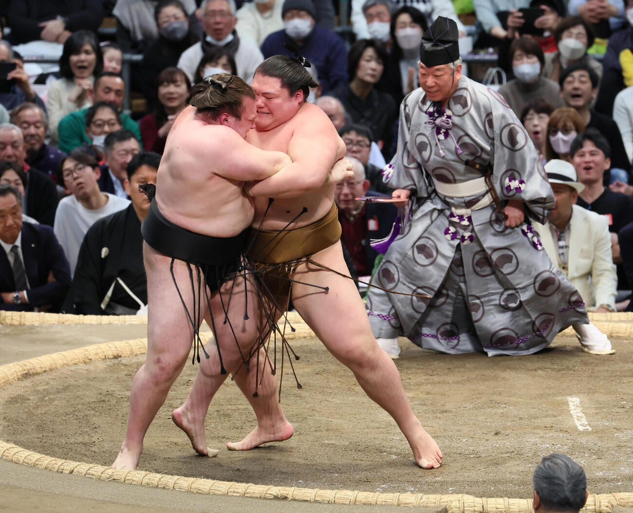 王鵬（右）は安青錦をきめ出しで破る