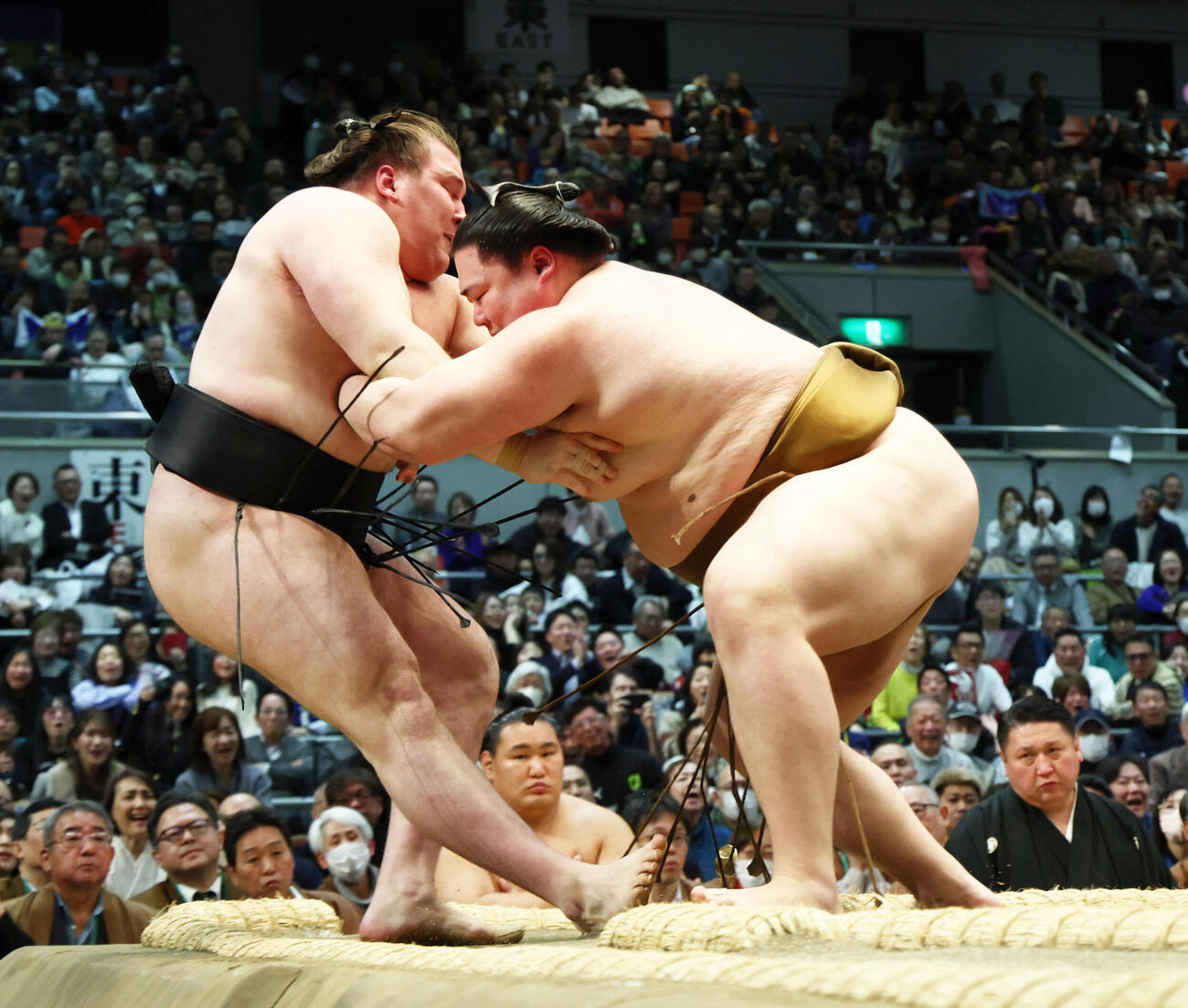 王鵬（右）は安青錦をきめ出しで破る（撮影・上山淳一）