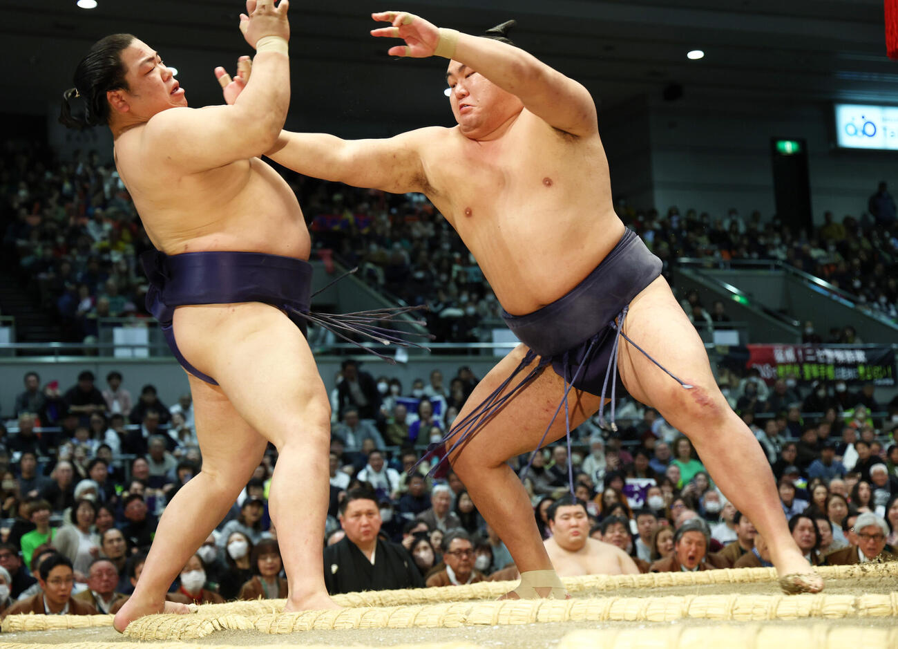 豊昇龍（右）は平戸海を押し出しで破る（撮影・上山淳一）